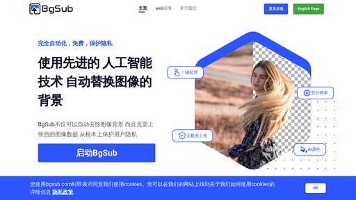 BgSub preview
