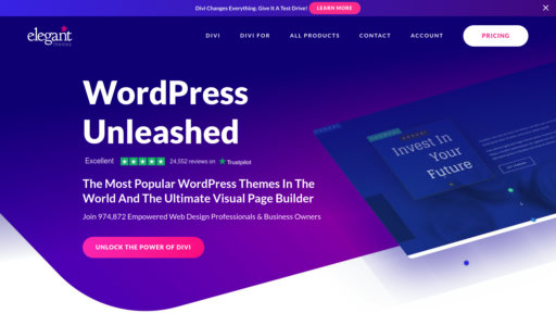 Elegant Themes Divi preview