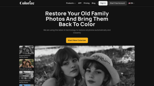 ImageColorizer preview