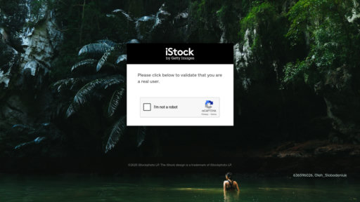 iStock preview