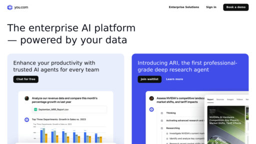 You.com preview