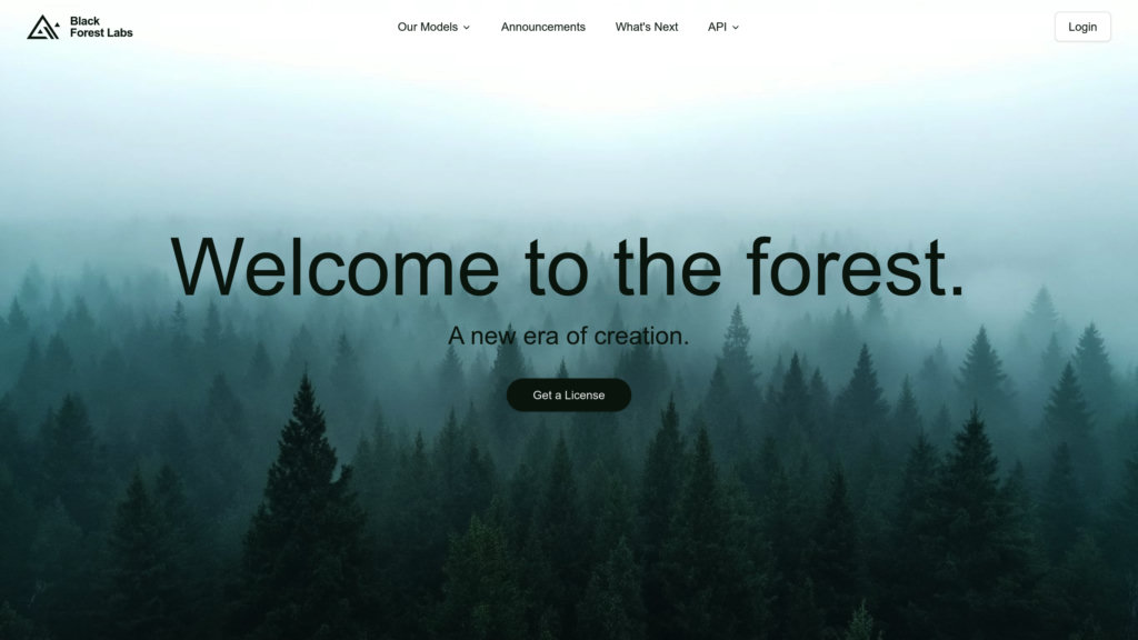 Black Forest Labs preview