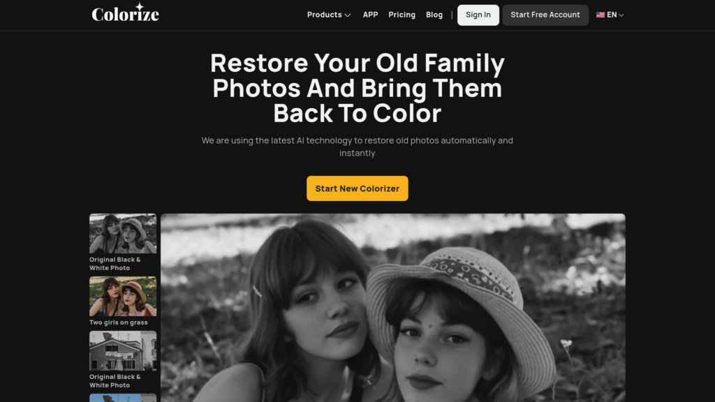 ImageColorizer preview