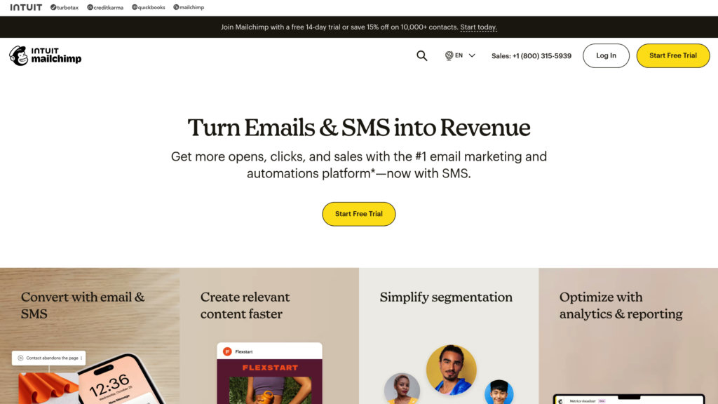 Mailchimp preview