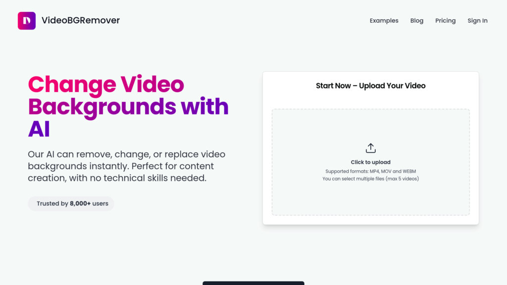 VideoBGRemover preview